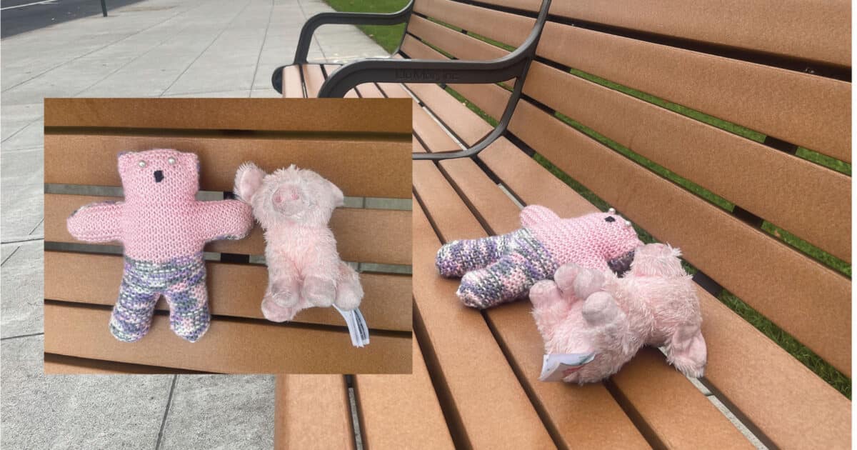 Alameda Post - Stuffed animals sitting on a bench. 