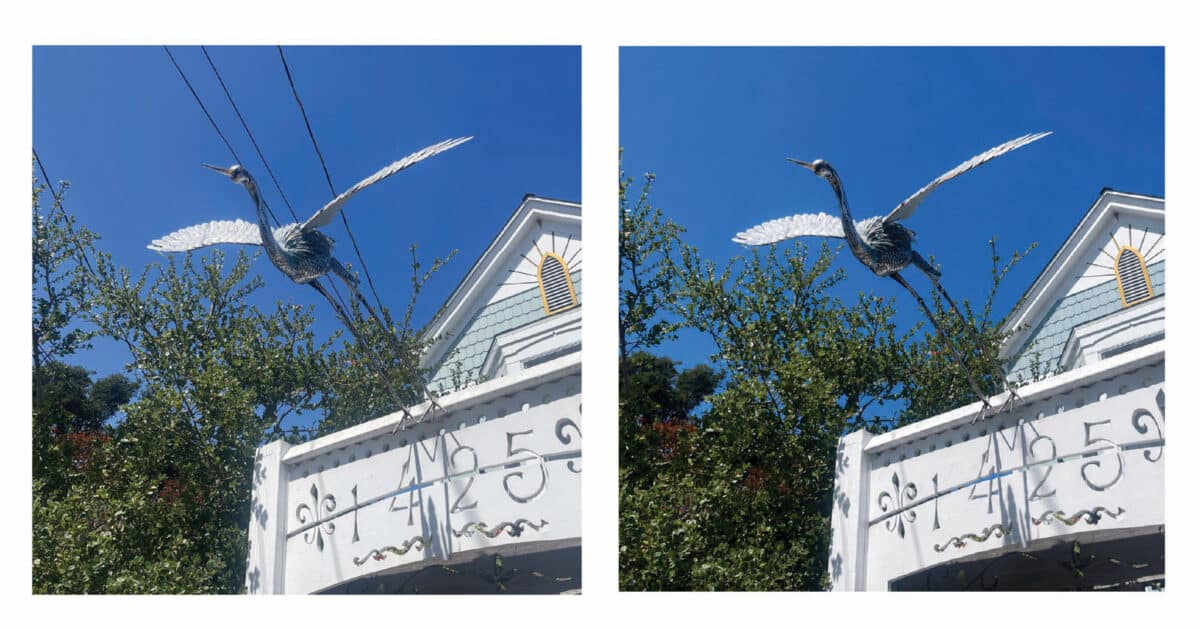 Alameda Post - Side by side photos of a statue of a flying egret taking flight. In one photo, power lines are visible in the sky. In another, they are gone. 