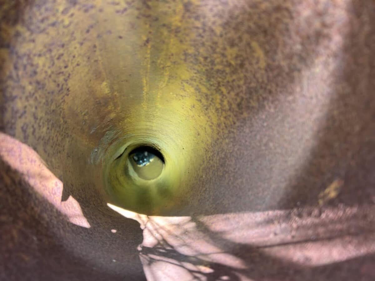 Alameda Post - A kitten is barely visible at the end of a long pipe.