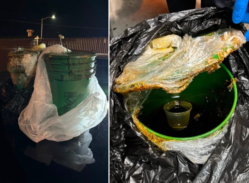 Alameda Post - 40 gallon buckets in trash bags. In one photo, a gloved hand lifts the lid to reveal mystery goo.