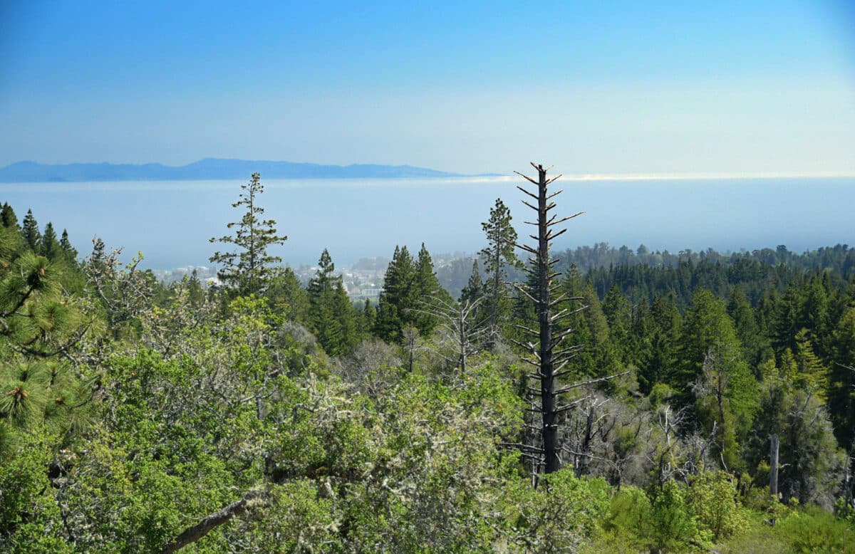 Alameda Post - A view of a bay, trees, and mountains in the distance.