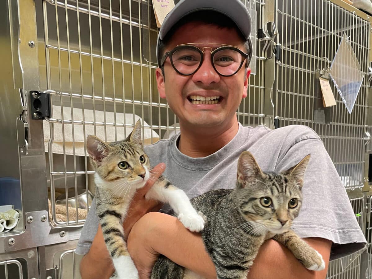 Alameda Post - Adrien Abuyen holds two kittens and smiles. 