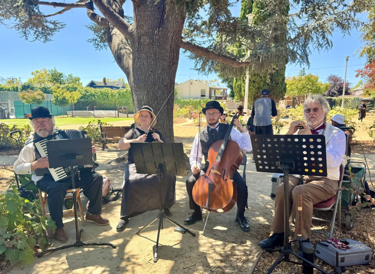 Alameda Post - The Greenwich Mean Time band sit with band stands and chairs under a tree to play for the Period Events and Entertainment Society event.