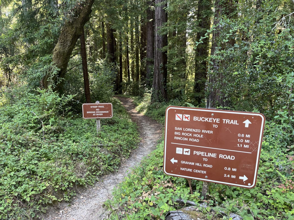 Alameda Post - Trail signs along a hiking trail. 