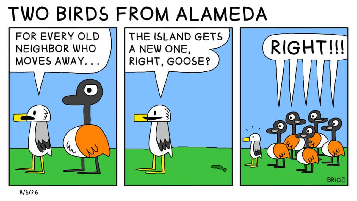 Alameda Post - Two Birds from Alameda for August 6, 2026. First panel: Seagull says to Goose,"For every old neighbor who moves away..." Second panel: Goose is gone but Seagull doesn't notice and keeps talking saying, "The island gets a new one, right Goose?" Third panel: Five geese suddenly stand behind a surprised Seagull and say "Right!!!" together. 