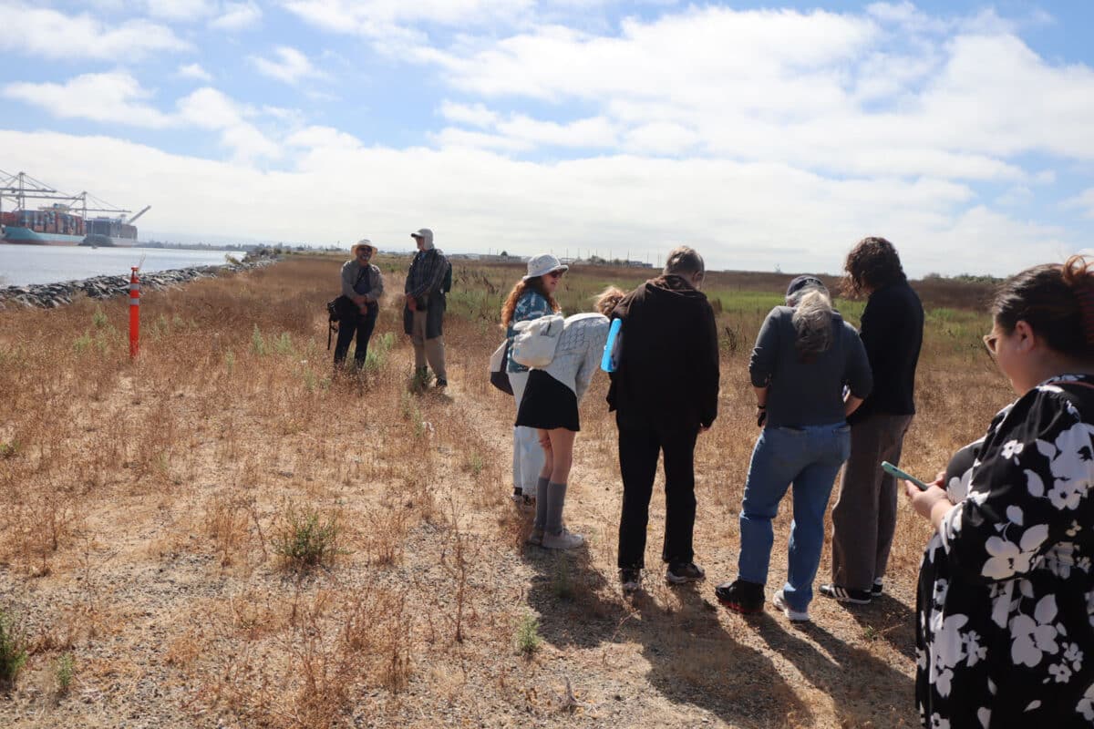 Alameda Post - A tour group examines the ground at the former Alameda Naval Air Station.