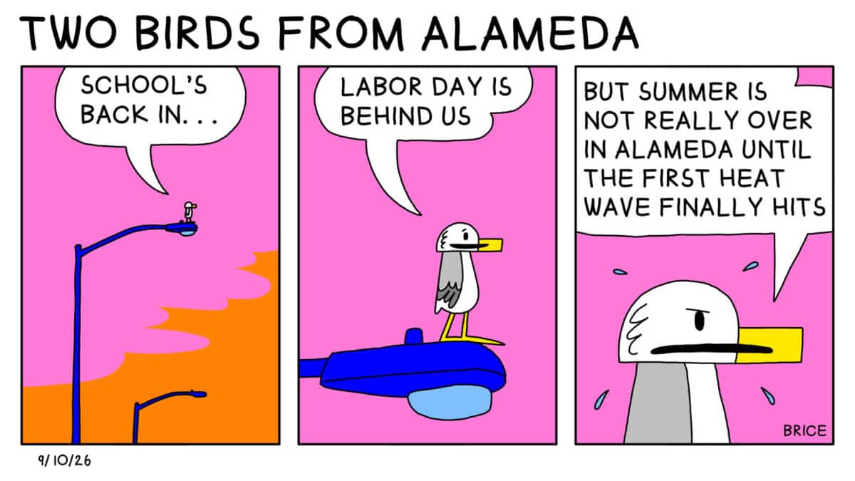 Alameda Post - Two Birds from Alameda for September 10, 2026. In all three panels, Seagull stands on a street light while the camera gets closer. In successive panels, Seagull says, "School's back in..." "Labor Day is behind us." "But summer is not really over in Alameda until the first heat wave finally hits."