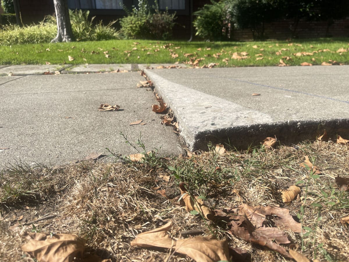 Alameda Post - An uneven sidewalk. 