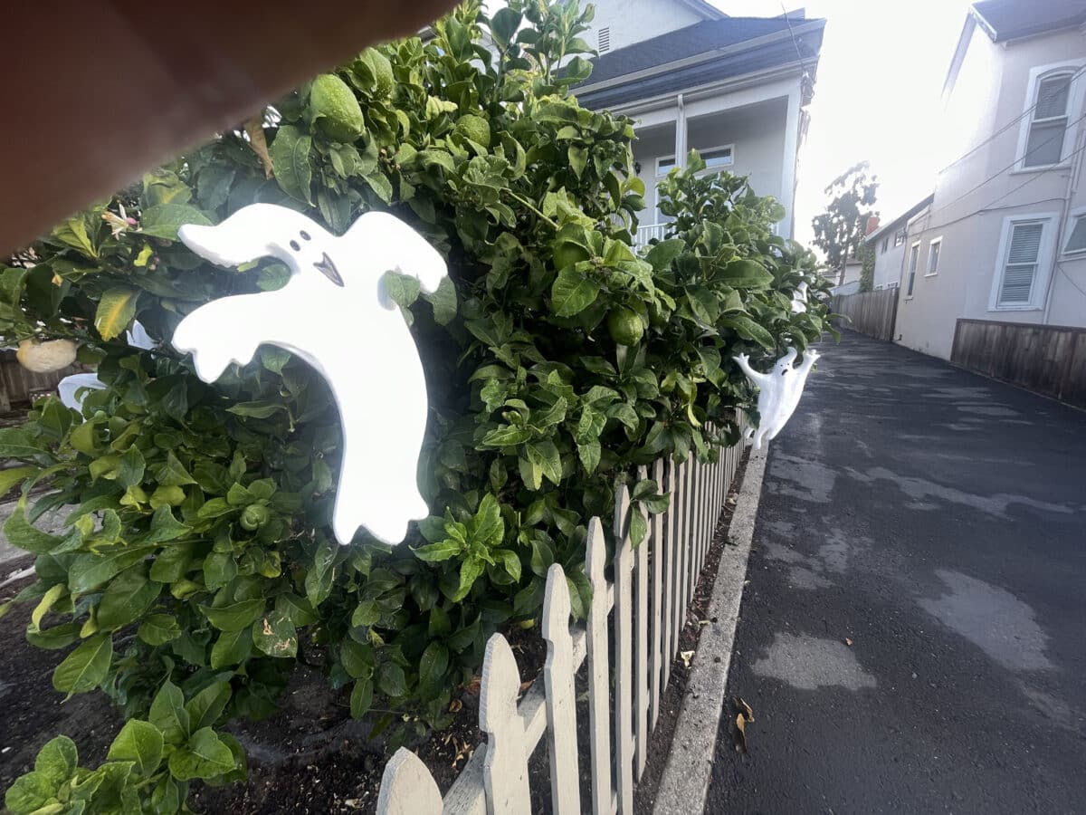 Alameda Post - A ghost halloween decoration in a bush. 