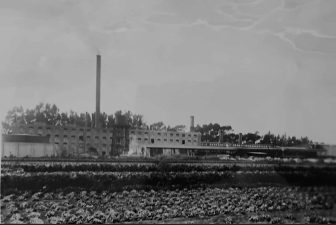 Alameda Post - a black and white photo of a factory, N. Clark & Sons