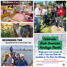 Alameda Post - a collage of events this week
