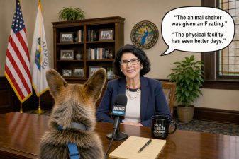 Alameda post - A photo of Mayor Ashcraft behind a desk, and a photoshopped dog sitting in front of her. A speech bubble from the mayor says "The animal shelter was given an F rating. The physical facility has seen better days."