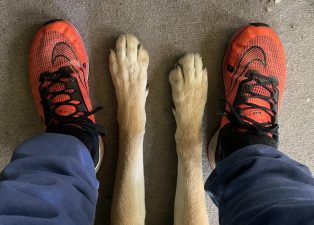 Alameda Post - Mouf's paws in between his human companion's feet