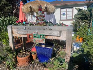 Alameda Post - Bear's-Eye View of Alameda for November 26, 2023. Peace on Earth