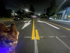 Alameda Post - Bear's-Eye View of Alameda for July 25, 2023 — striping Encinal Ave. at night