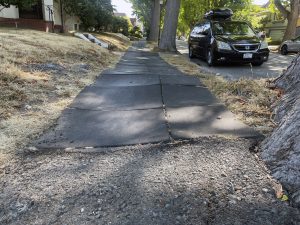 Alameda Post - Bear's-Eye View of Alameda for August 13, 2023 – dangerous, uneven sidewalks