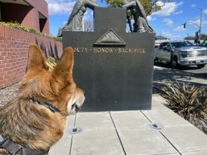 Alameda Post - Bear's-Eye View of Alameda for March 12, 2023 – Alameda Police Department memorial