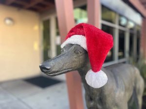 Alameda Post – Bear's-Eye View for December 18, 2022 – Park Center dog statue