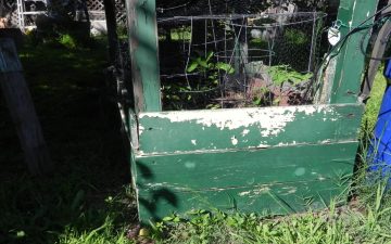 Alameda Post - A raised garden bed.
