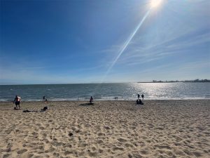 Alameda Post - sunshine on the beach