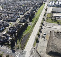 Alameda Post - an aerial view of Linear Park on Main Street