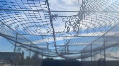 Alameda Post - netting with holes in a batting cage