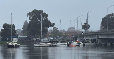 Alameda Post - about 7 untethered sailboats clumped together on the water are gathered at a bridge