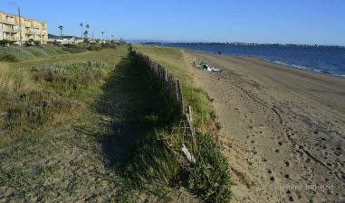 Alameda Post - the South Shore beach