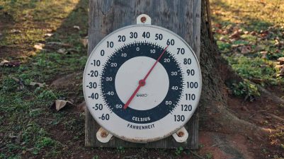 Alameda Post - an outdoor thermometer on a tree trunk