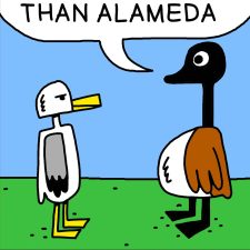 Alameda Post - Two Birds from Alameda for November 17, 2022